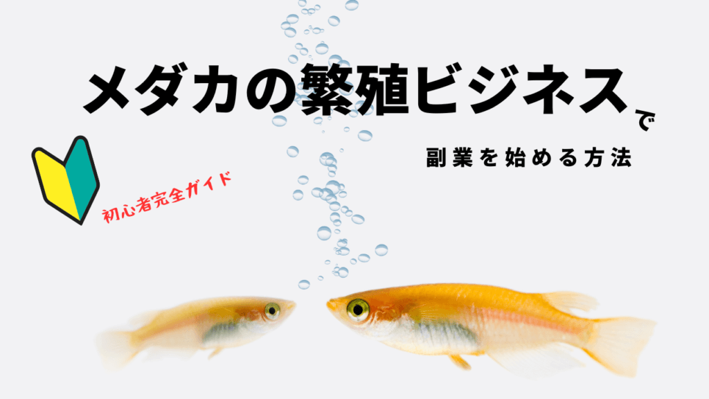 レア】ネットでかんたん 繁殖ビジネス 副業マニュアル ビジネス・経済